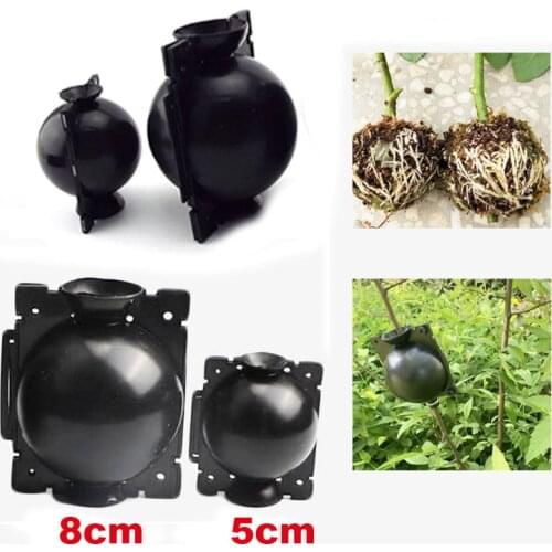 5pcs Plant Rooting Ball Grafting Rooting Growing Box Breeding Case Plant Root Growing Box For Garden Tools