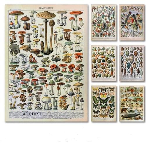 Paleobios Plants Vegetables Fruits Retro Poster Flower Animal Insect Butterfly Canvas Painting Wall Art Picture Home Decor