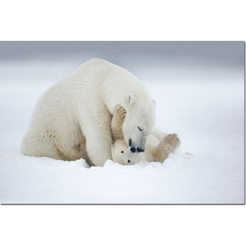 Polar Bears Poster and Print Wall Art Canvas Painting Wall Picture For Living Room Decor