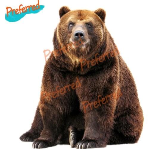 High Quality Brown Bear Car Stickers Colorful Funny Auto Sticker Decals Car Stickers