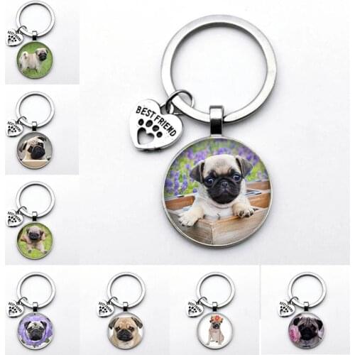 Cute Animal Beagle Pug Dog Glass Cabochon Poodle Teddy Art Picture Glass DIY Handmade Jewelry Keychain Friend Gift