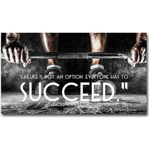 061 ARNOLD SCHWARZENEGGER - Bodybuilding 113 Wall Silk Cloth Poster Art Decoration Gift