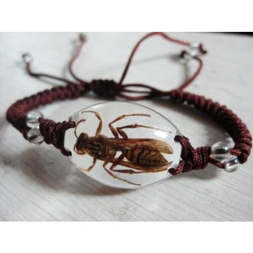 FREE SHIPPING 5 PCS Real Bee Specimens Bangle Vogue Mix Rope Charm Bracelets