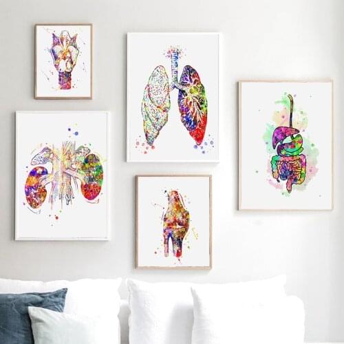 Brain Heart Liver Lung Colourful Anatomy Hospital Wall Art Canvas Painting Posters And Prints Wall Pictures Doctor Office Decor