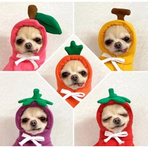 Ainolway Newest Winter Puppy Dog Costume Cute Fruit Pet Clothes for Small Dogs Cats Pets Clothing Chihuahua Cat Hoodie