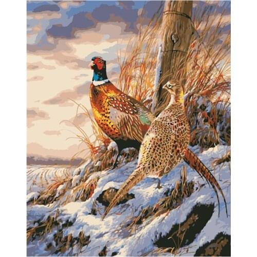 Painting By Numbers DIY Dropshipping Big size Beautiful wild pheasant Animal Acrylic House Decoration Art picture Gift