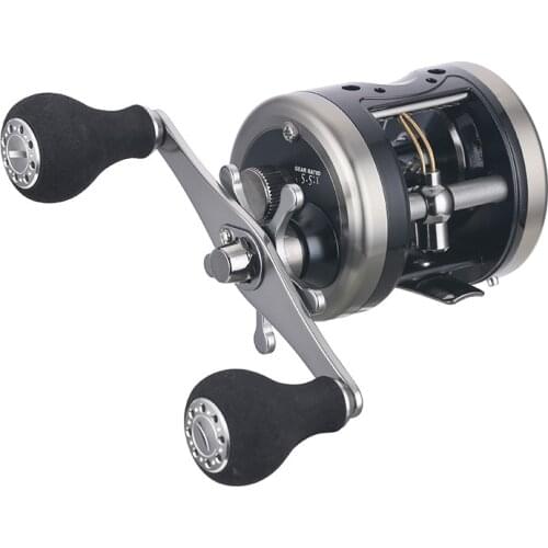 Cast Drum Wheel Alloy Left/Right Handle Casting Sea Fishing Reel Saltwater Baitcasting Reel Coil 4+1 Ball Bearing 8kg Drag Power