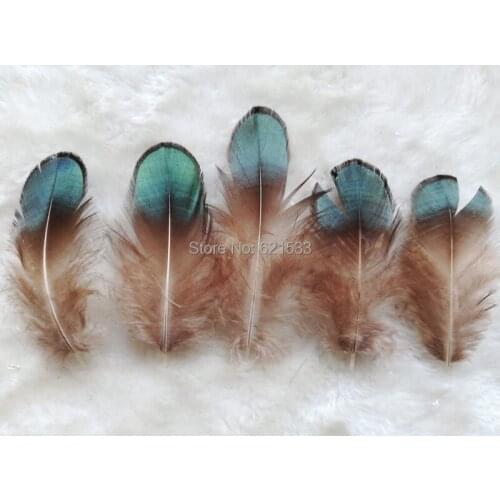 200Pcs/Lot! 5-8CM Green Bronze Lady Amherst Pheasant Plumage Feathers,Plumes for DIY,Jewelry Making etc