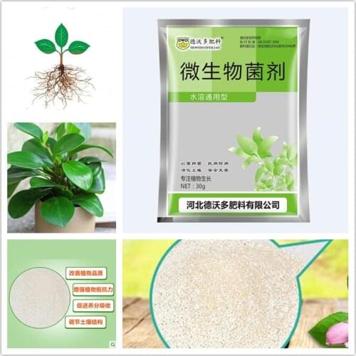 30g microbial product in agriculture Microbial agent Bacillus subtilis fertilizer for fruit trees