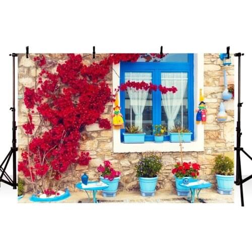 Mehofoto Vinyl Photography Background Vintage Brick Wall Blue Window Flower Plant Outdoor Children Backdrop for Photo Studio