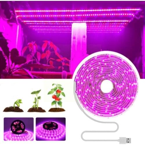 BLUEKING Plant Lamps