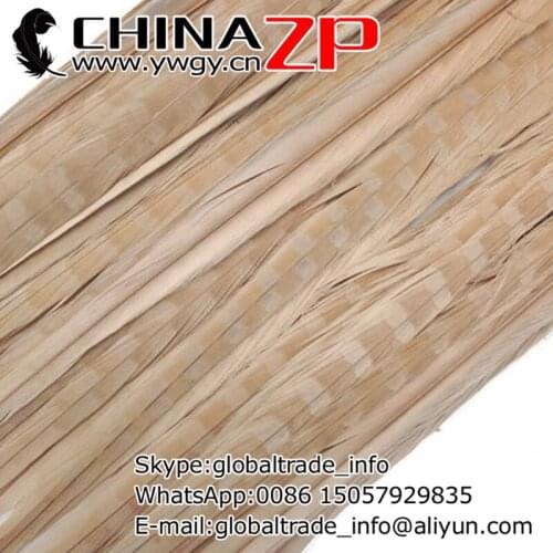 Leading Supplier CHINAZP Factory 100pcs/lot 20-22inch (50-55cm) Length Top Quality Dyed Ivory Ringneck Pheasant Tail Feathers