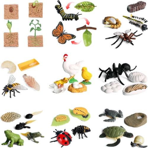 Childrens Simulation Animal Model Bee Turtle Spider Frog Growth Cycle PVC Movable Doll Kids Collection Toys Gifts