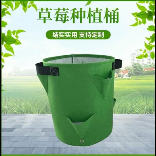 More Thickness Strawberry Planting Bag Plant Grow Hanging Bag Garden Supplies
