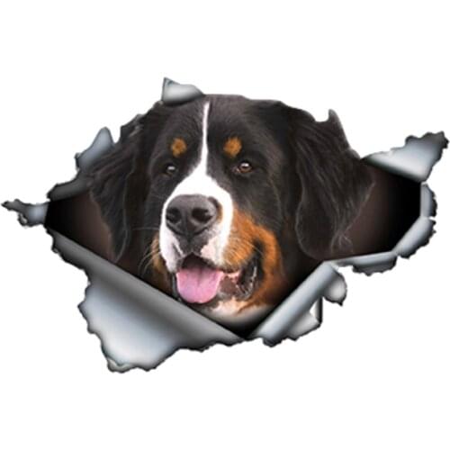 Personality Bernese Mountain Dog Car Sticker Torn Decal Reflective Stickers Waterproof Car Styling Pet Decals Apply To Car Door