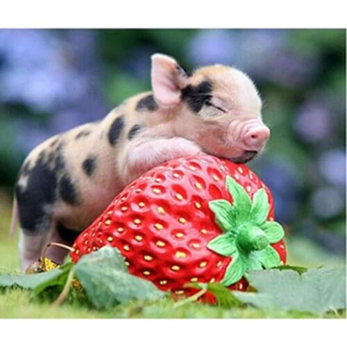 Mosaic wall picture for living room diamond painting full diamond embroidery square diamond sets Strawberry and pig HL493