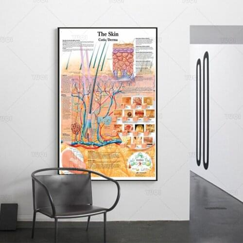 Anatomy Dissection Skin Anatomical Charts Posters Laminated Canvas Print Wall Pictures For Medical Education Doctor Home Decor