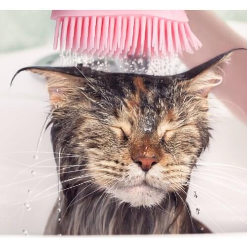 Cats Pets Bath Shower Brush Scrubbers Yellow Green Pink Silicone Grooming Massage Shampoo Comb Deshedding Supplies