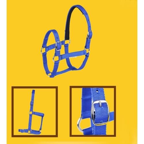 Thickened Horse Head Collar Adjustable Safety Halter Horse Riding Training Rope Riding Racing Equipment Training Rope