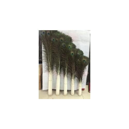 20pcs/lot 70-80cm dyed peacock feather for party performance wedding headwer HatHair accessories