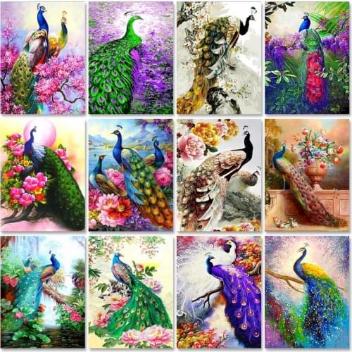 SDOYUNO Paint By Number Canvas Painting Kits Animals DIY Unframe Acrylic Paint Coloring By Numbers Peacock Handpainted Gift
