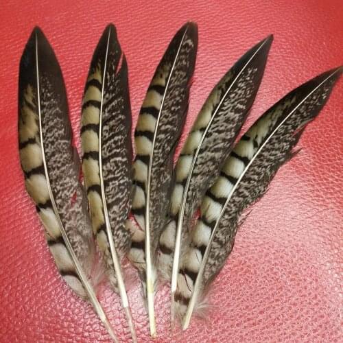 Hot Wholesale Perfect 10pcs/lot Beautiful 6-8inch/15-20cm copper plumage chicken tail feathers for wedding party home decoration