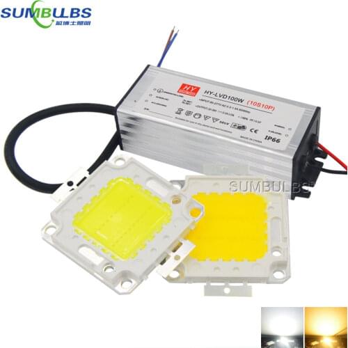 100% Epistar LEDs AC 110V 220V Full Watt 10W 20W 30W 50W 100W COB LED Matrix Chip Project Flood Light Source with LED Driver