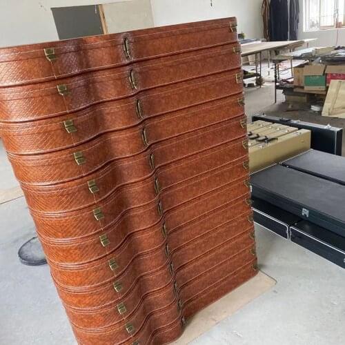 Hardcase Of Electric Guitar