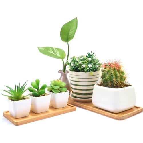 2PC Bamboo Wood Saucer Plant Tray Mini Plant Flower Pot Stand Favor Succulent Pot Tray Simple Elegant Design Home Balcony