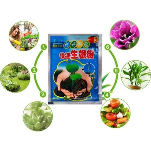 Fast Rooting Powder Bonsai Plant Rapid Growth Root Medicinal Hormone Regulators Growing Germination Aid Fertilizer Garden TSLM1
