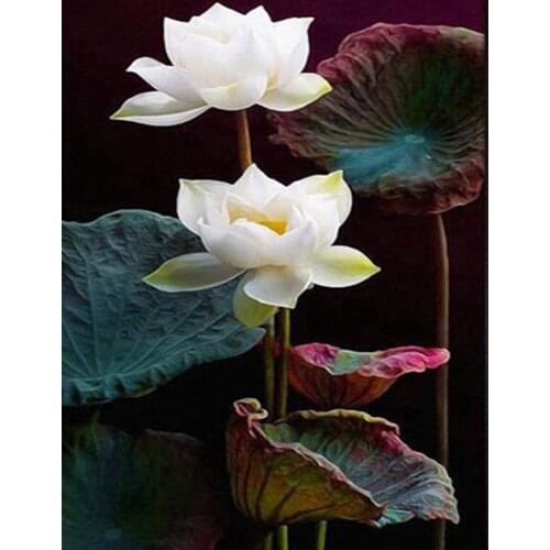 Flowers Full Square/Round 5D DIY Diamond Painting White Lotus Pictures 3D Embroidery Mosaic Rhinestones Art Stickers Decor DF471
