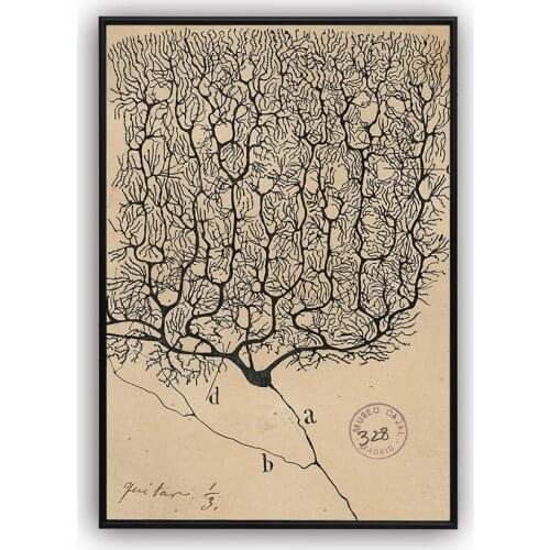 Vintage Poster Neuron Drawing Santiago Ramon y Cajal Wall Art Antique Brain Anatomy Canvas Print Anatomical Biology Illustration