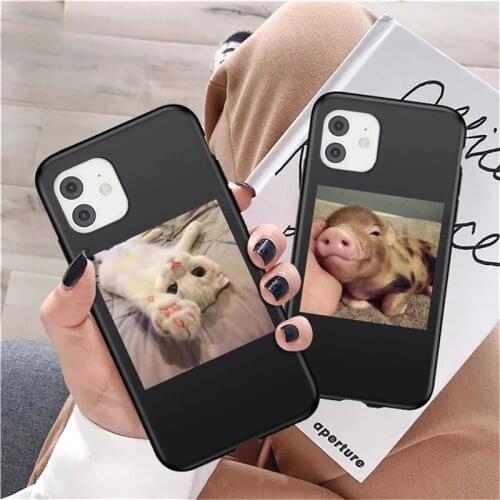 Funny Cute Cat Pig Dog Case For iPhone 12 11 Pro Max X XR XS Max 6 7 8 Plus 12 Mini 5S SE 2020 Soft Silicone Shockproof Cover