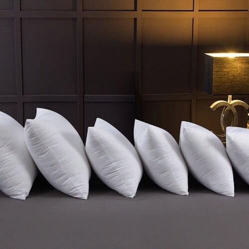 Pregnancy Pillow High Elasticity Pillowcase Padding Sanded Cushion Cushion Core Dakimakura Neck Stretcher