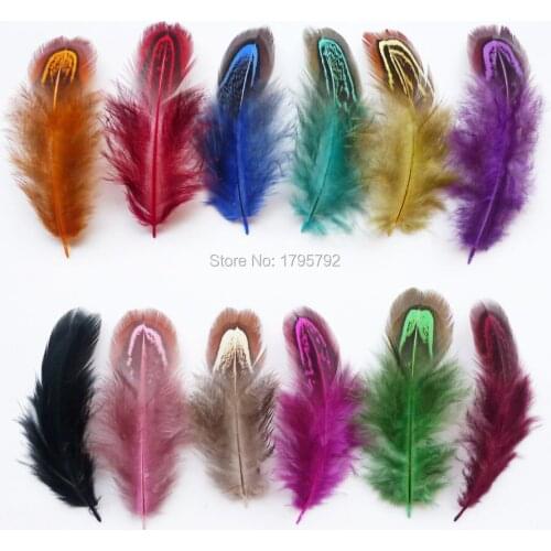 10/20/ 50 / 100 pcs 4-9cm Pheasant chicken feathers for DIY crafts Clothing jewelry Mask Earring Dreamcatcher Decorations plumes