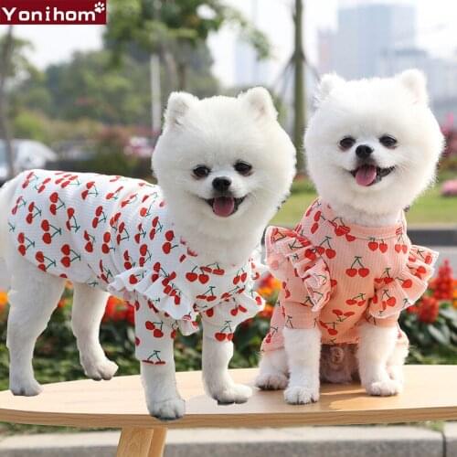 Cute Fruit Pet Dress For Dogs Cats Cozy Summer Puppy Skirt Pet Dress Fashion Princess Party Small Dog Skirt Outfit Dog Clothes
