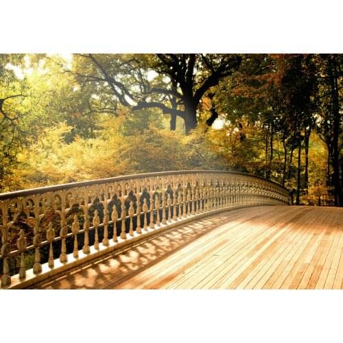 Bridge Autumn Forest Trees photography studio background High quality Computer print wedding backdrop