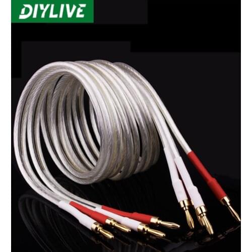 DIYLIVE Speaker cable fever level professional 6N copper silver-plated speaker cable HIFI audio cable banana head surround cable