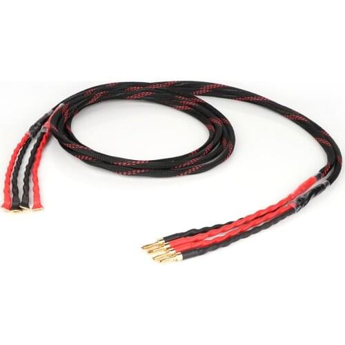 Yter HI-End Western Electric Speaker Cable HIFI Audiophile Cable banana to Spade Biwire speaker cable HIFI