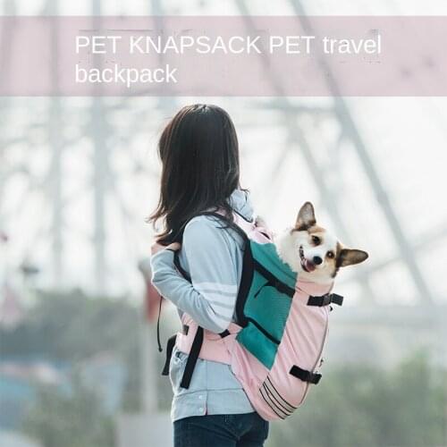 PETKIT Dog Carrying Bags