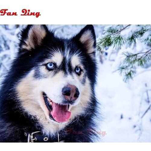 5D Diy Diamond Painting Animal dog 3D Diamond Mosaic Full Square/round Rhinestone Diamond Embroidery Husky home decoration