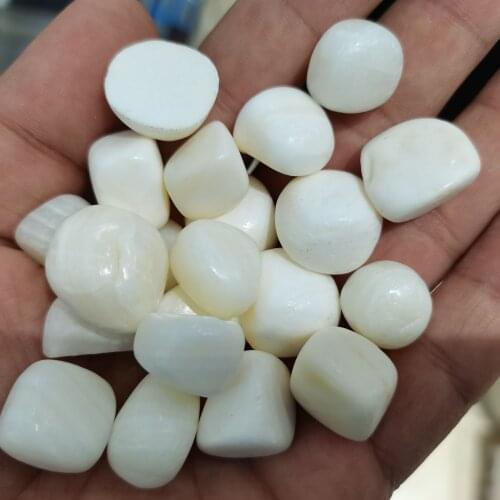 15-20mm Natural giant clam tumbled stone Polished Conch Gravels