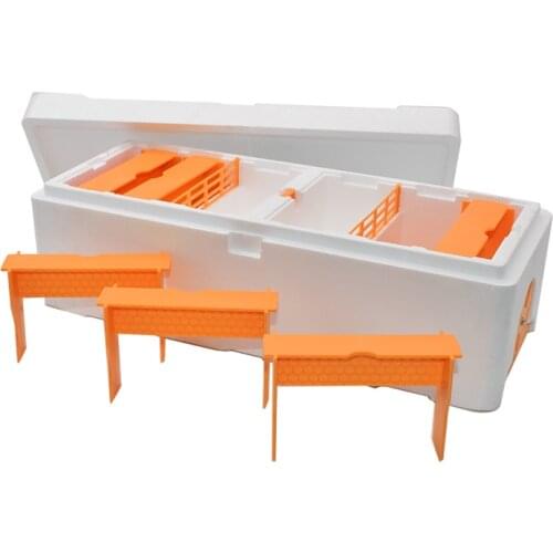 High Strength EPS Multi-Functional Bee Hive Plastic Foam Two Queens Nucs Mini Mating Beehive Queen Rearing Beekeeper Supplies