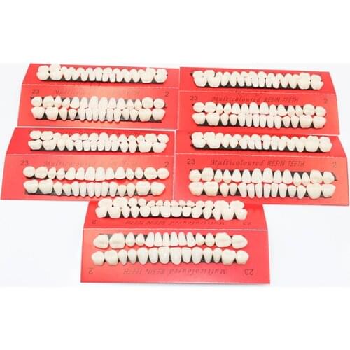 Dental Material Plastic Teeth Teaching Model Dedicated Teeth Dental Material Useful Teeth Care Tool A2 Type Tooth Model 10sets