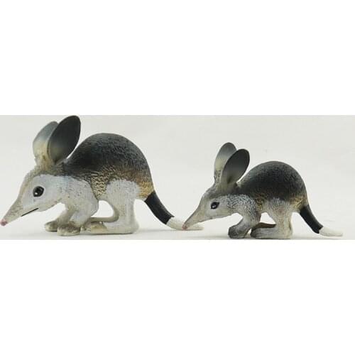 Free shipping SCIENCE AND NATURE Australias wild animal model-Common rabbit-bandicoot