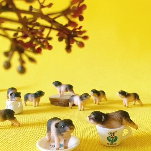 10Pcs/pig/piggy/lovely animal/fairy garden gnome/moss terrarium decor/crafts/bonsai/figurine/home table decor/DIY supplies