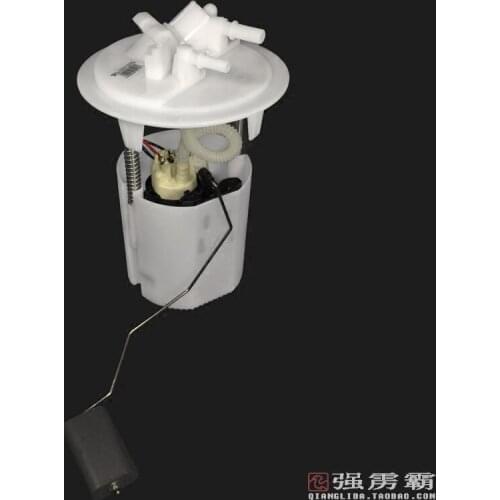 Genuine high quality fuel pump assembly for Peugeot 301 / New Elysee DSF-593