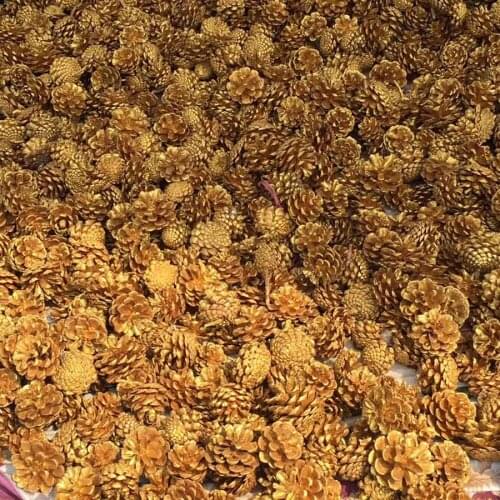 50pcs Dried Dyed Gold Pinecone Pine Cone Fruit For Wedding Party Home Hotel Decoration DIY Bouquet Vase Craft Accessory