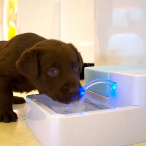 1.8L Automatic LED Pet Fountain Water Cat Dog Bowl Drinking Dish Filter Pet Drinker