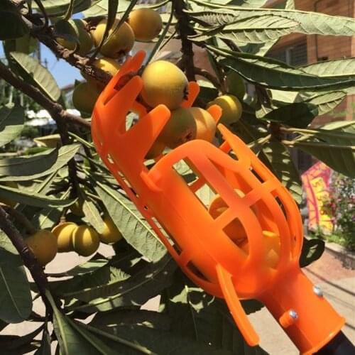 Garden Tools Fruit Picker Head PlasticFruit Picking Tools Fruits Catcher Picking Apple Citrus Pear Peach Hand Tools